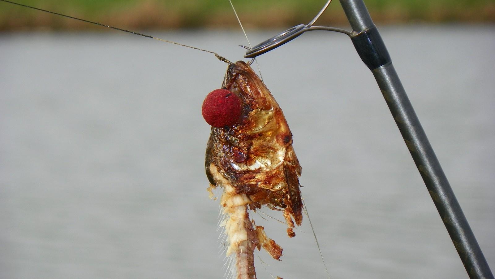 Party Cup 2011 (4) - 1000214.jpg